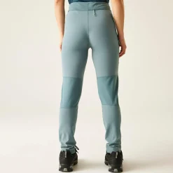 Dare 2b - Damskie legginsy Torrek | Szary