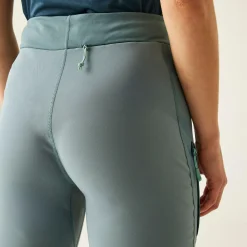Dare 2b - Damskie legginsy Torrek | Szary