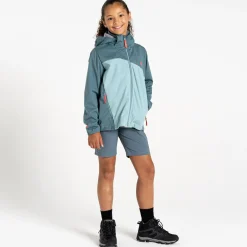 Dare 2b - Dziecięcy softshell Explore | Szary