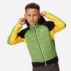 Dziecięcy softshell z kapturem Prenton II | Zielono-czarny