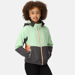 Dziecięcy softshell z kapturem Haydenbury | Zielono-szary