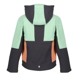 Dziecięcy softshell z kapturem Haydenbury | Zielono-szary