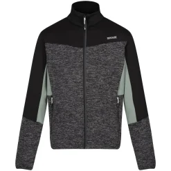 Męska bluza Coladane VI | Szary