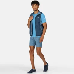 Męska kamizelka softshell Lankin V | Niebieski