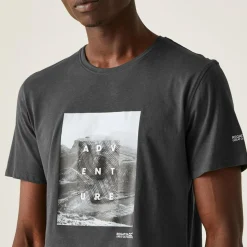 Męska koszulka Breezed IV Graphic Print | Szary