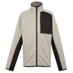 Męski polar Shorston | Szary