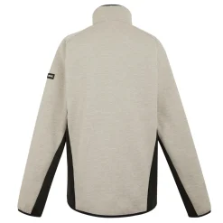 Męski polar Shorston | Szary