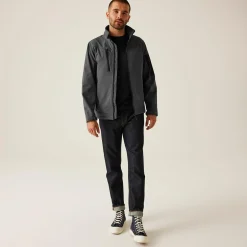 Męski softshell Arcola | Szary