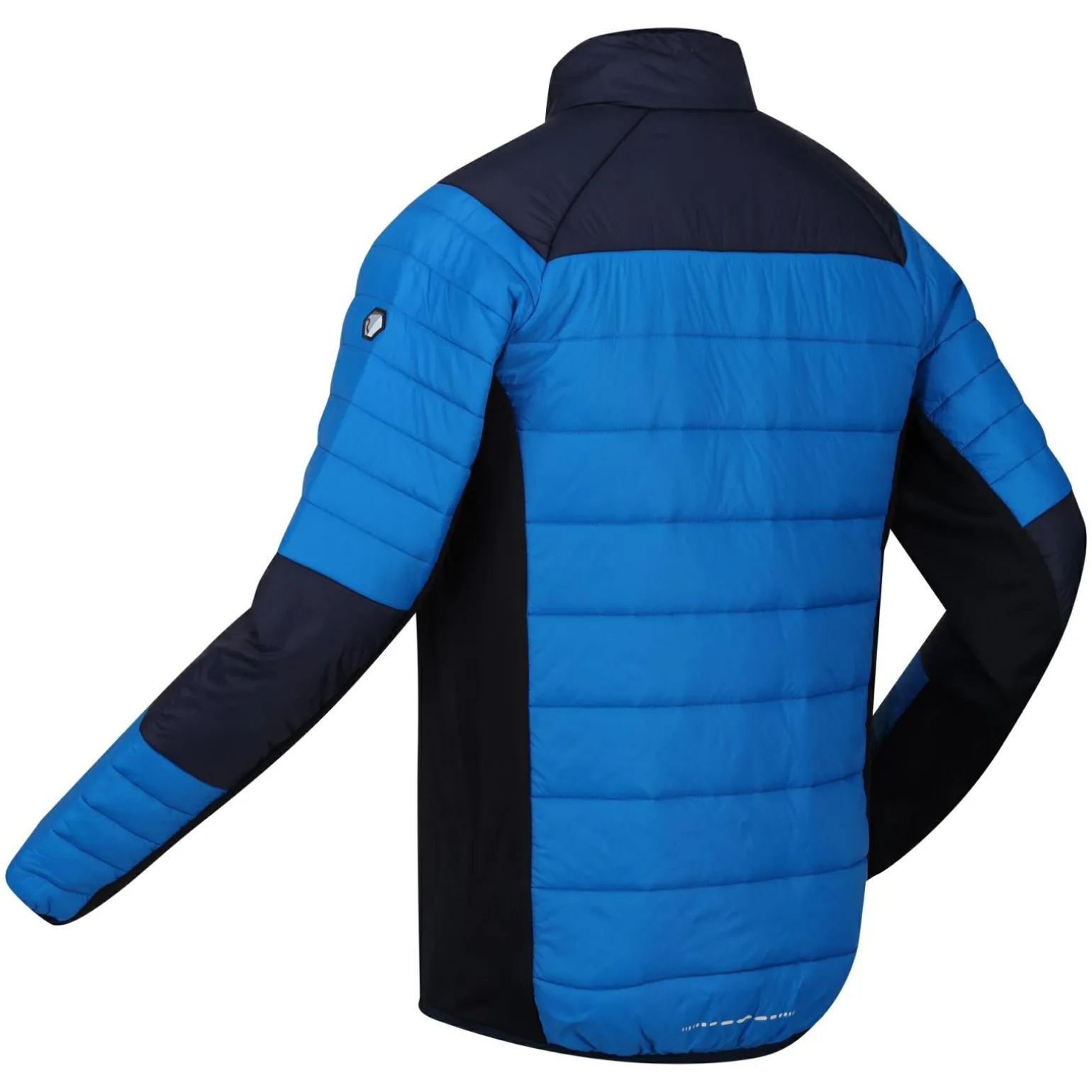 Męski softshell Halton VI | Niebieski