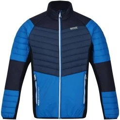 Męski softshell Halton VI | Niebieski