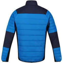 Męski softshell Halton VI | Niebieski