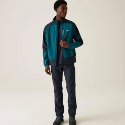 Męski softshell Moutdale | Niebieski