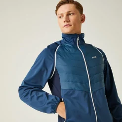 Męski softshell Steren Hybrid II | Niebieski