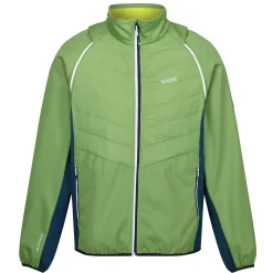 Męski softshell Steren Hybrid II | Zielony