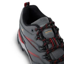 Męskie buty trekkingowe niskie Holcombe Low III | Brązowy