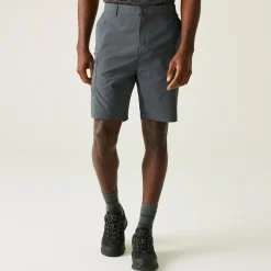 Męskie spodenki Dalry Multi Pocket | Szary