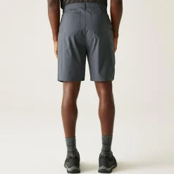 Męskie spodenki Dalry Multi Pocket | Szary