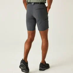 Męskie spodenki trekkingowe Xert Stretch III | Szary